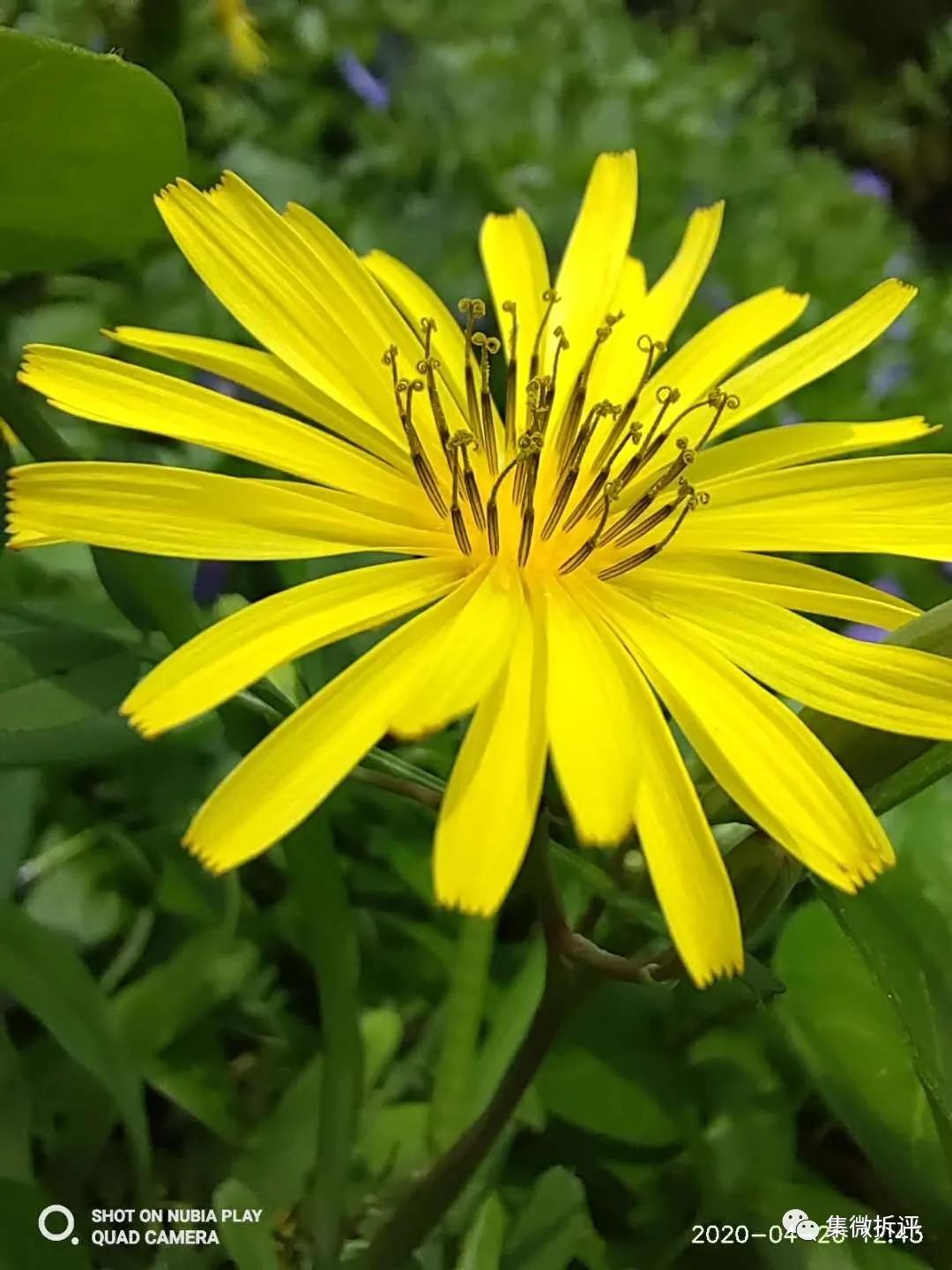 努比亚play和红米note10pro哪个好,努比亚play详细细节测评