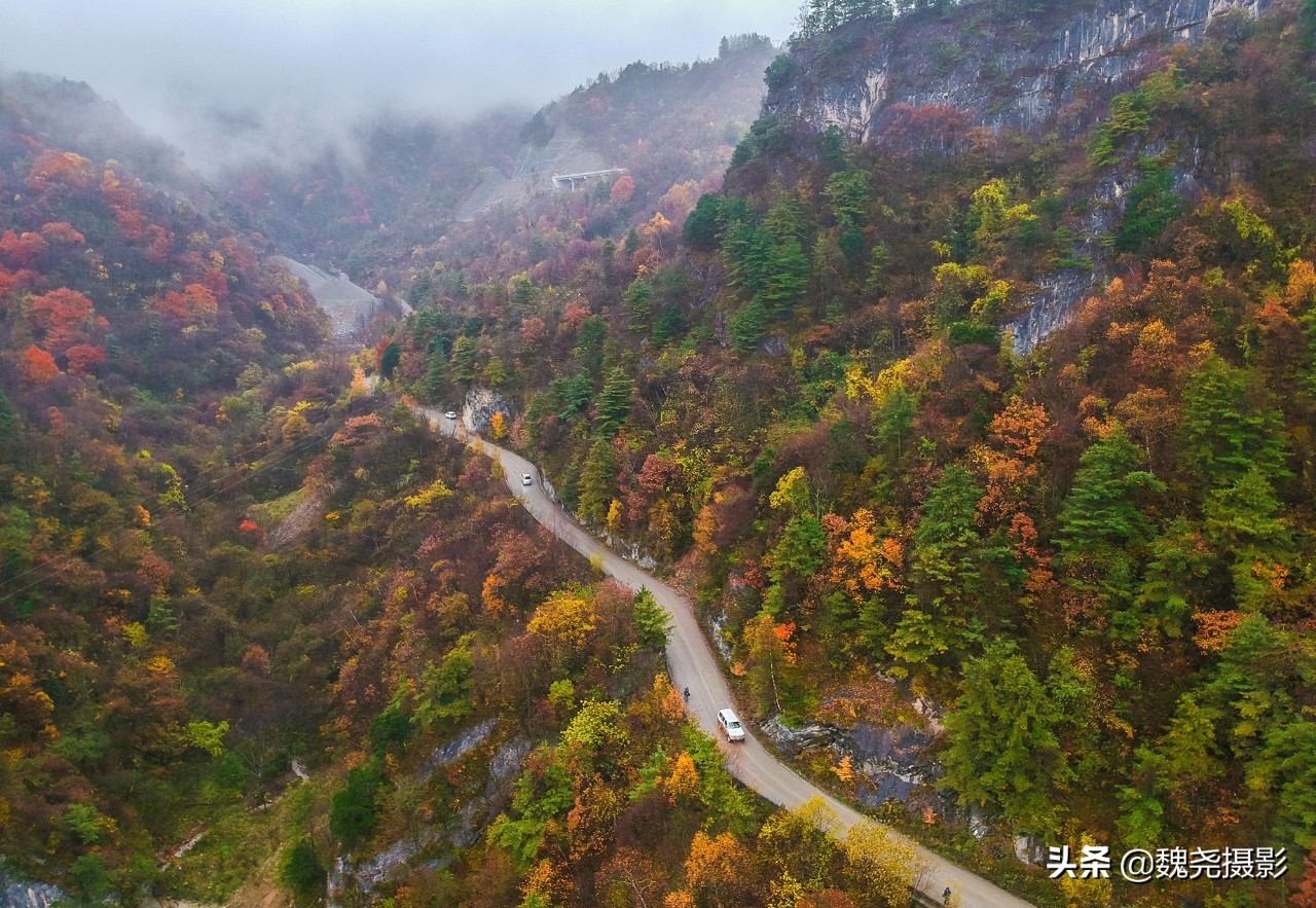 留坝秦岭之夜,留坝秦岭森林公园