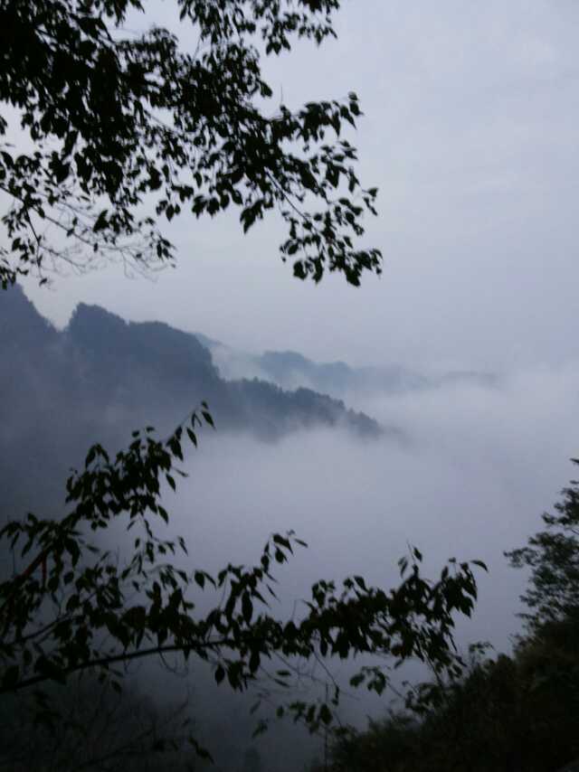 一次受伤需要一生治愈,摔一跤手臂损伤如何恢复