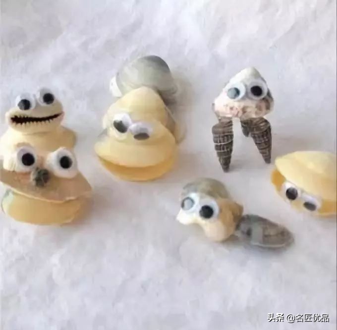 100种贝壳玩法图解,幼儿体智能贝壳的玩法