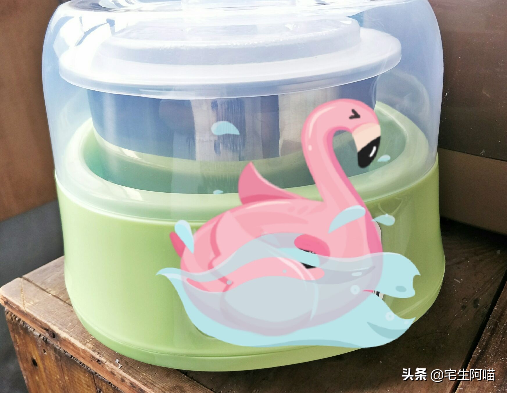 发酵酸奶不酸怎么办,发酵酸奶不成块