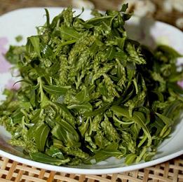 为了替你出气，我们给讨厌的杨柳絮来个“以暴制暴”