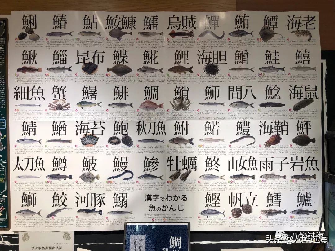 青花鱼跟鲐鲅鱼,青花鱼和鲐鲅鱼的区别