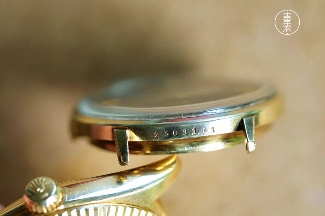 美度领航员上弦,美度领航者橙舵