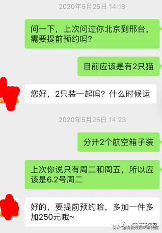 给大家介绍宠物托运的全过程,找托运宠物公司托运宠物注意什么
