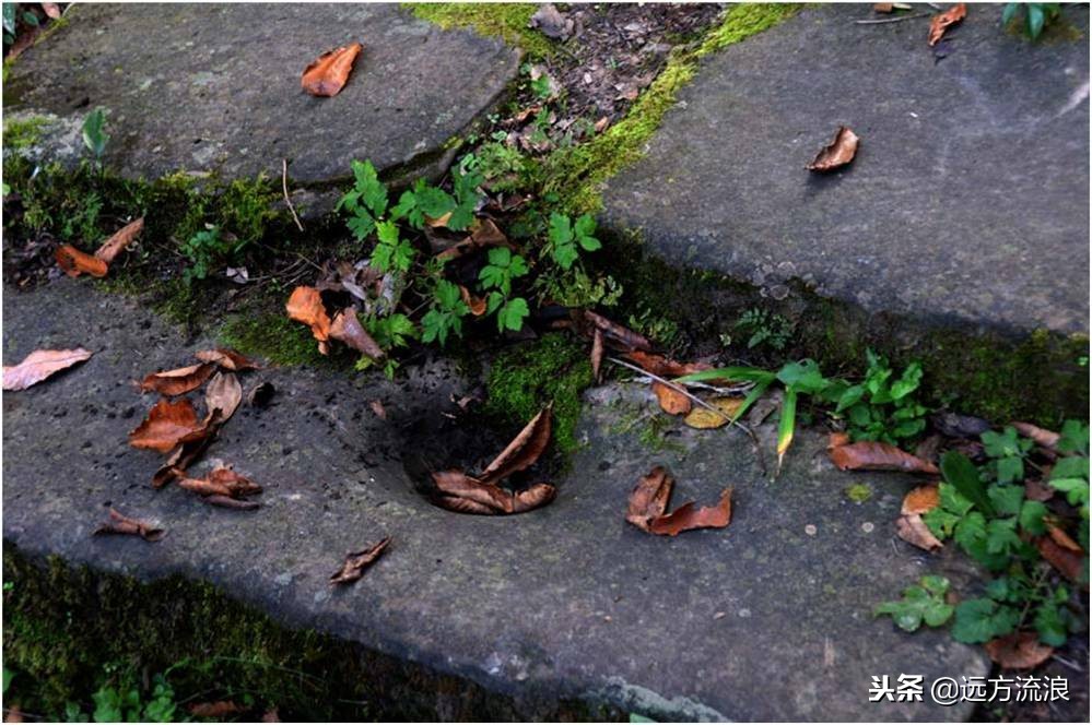 冬日的丽江,云南丽江的冬日依旧色彩斑斓