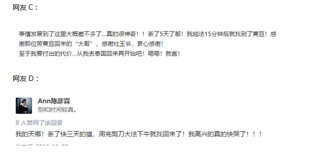 用了剪刀大法找东西但是没找到,用了剪刀大法猫咪还是没回来