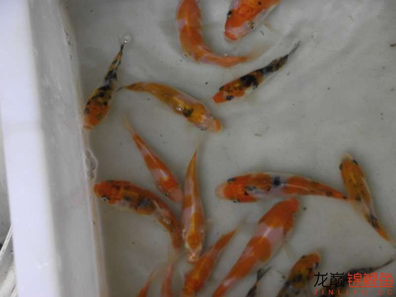 开渔场赚钱吗,开渔场需要多少资金