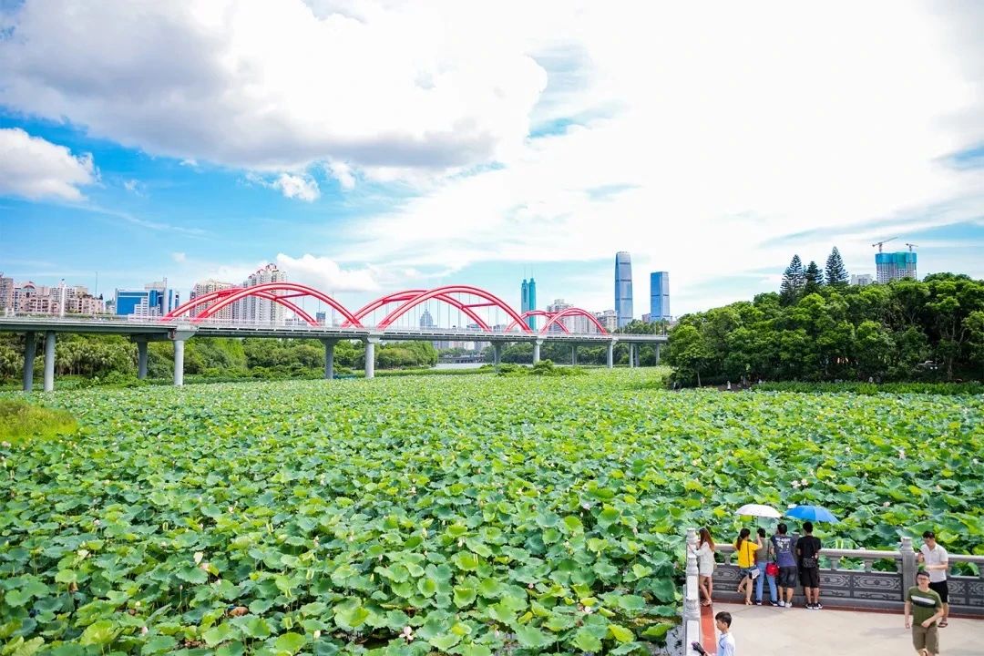 深圳3号线有哪些可以玩的,深圳7号线攻略