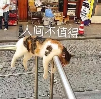 进了爱丁堡大学，才发现到处都是坑（口语篇）！