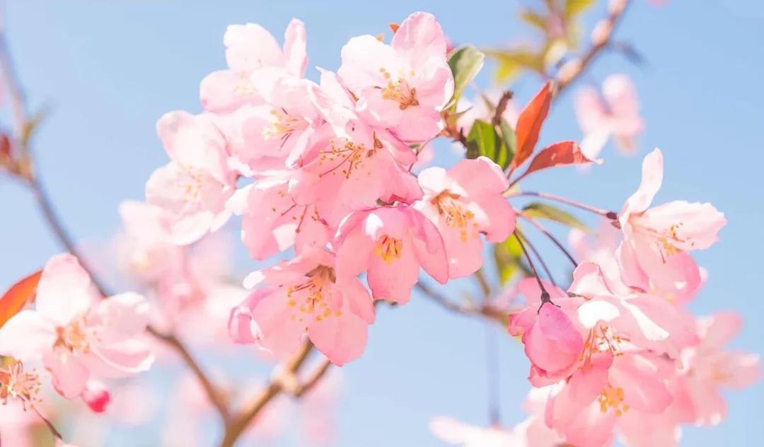 三亚和厦门哪个更值得去玩,三亚和厦门哪个更值得去游玩