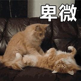 夏可叔叔扒产品——科颜氏高保湿清爽霜