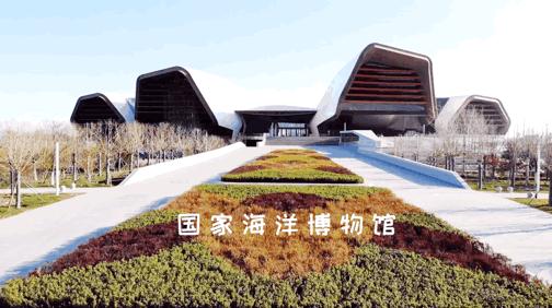 哏都天津底蕴老照片,哏都新春时天津旧模样