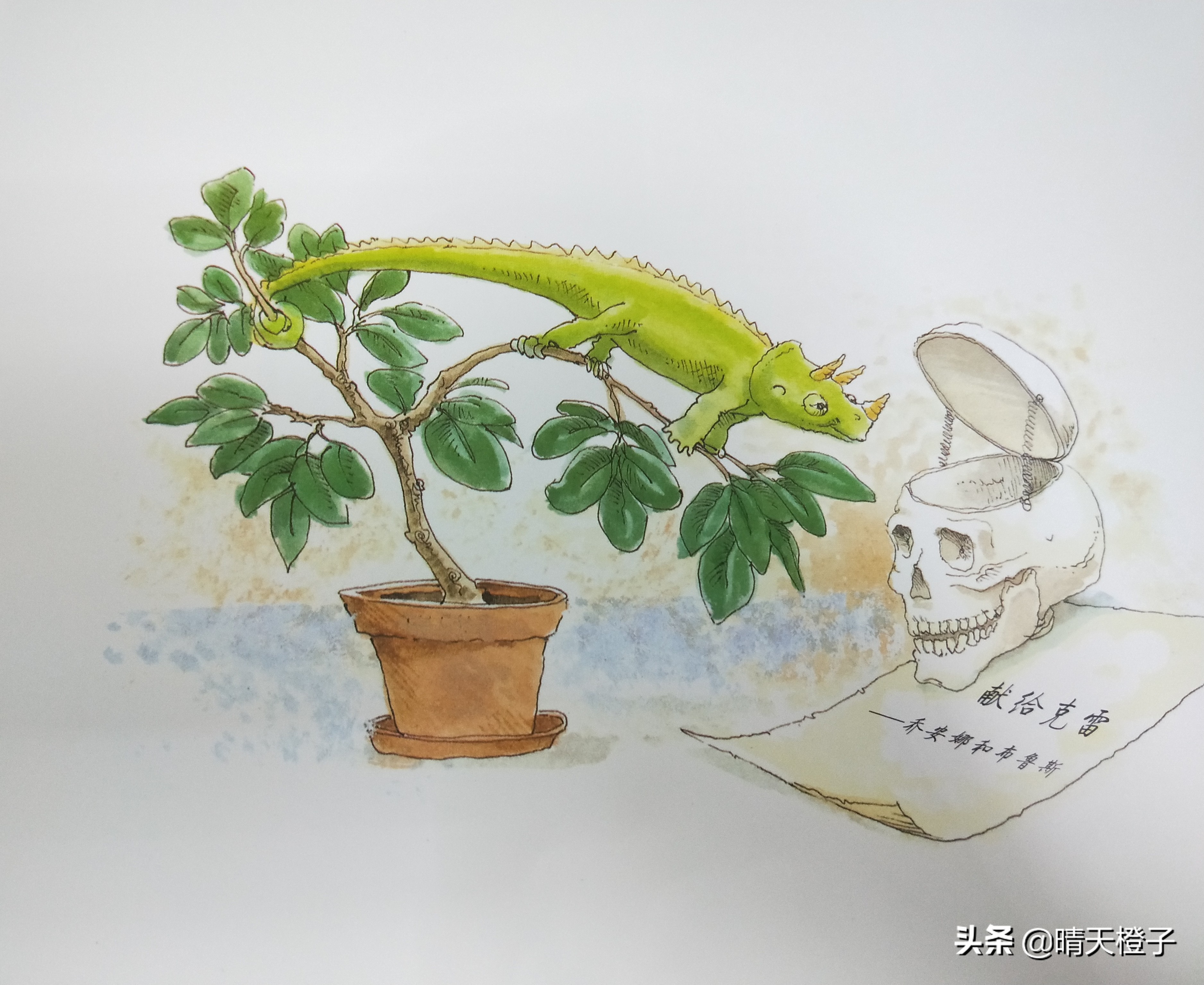 销售过百万畅销童书,销售突破百万颁奖