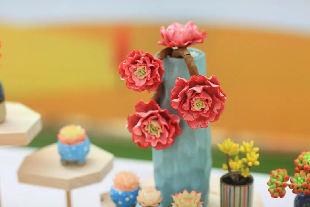 这个年销量上亿株多肉的县城，举办了首届多肉电商节