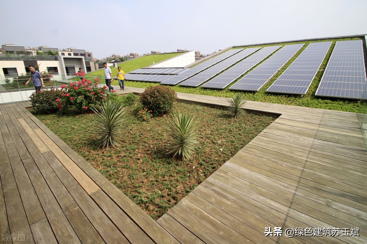 绿色建筑设计总说明,文章规划内容怎么写