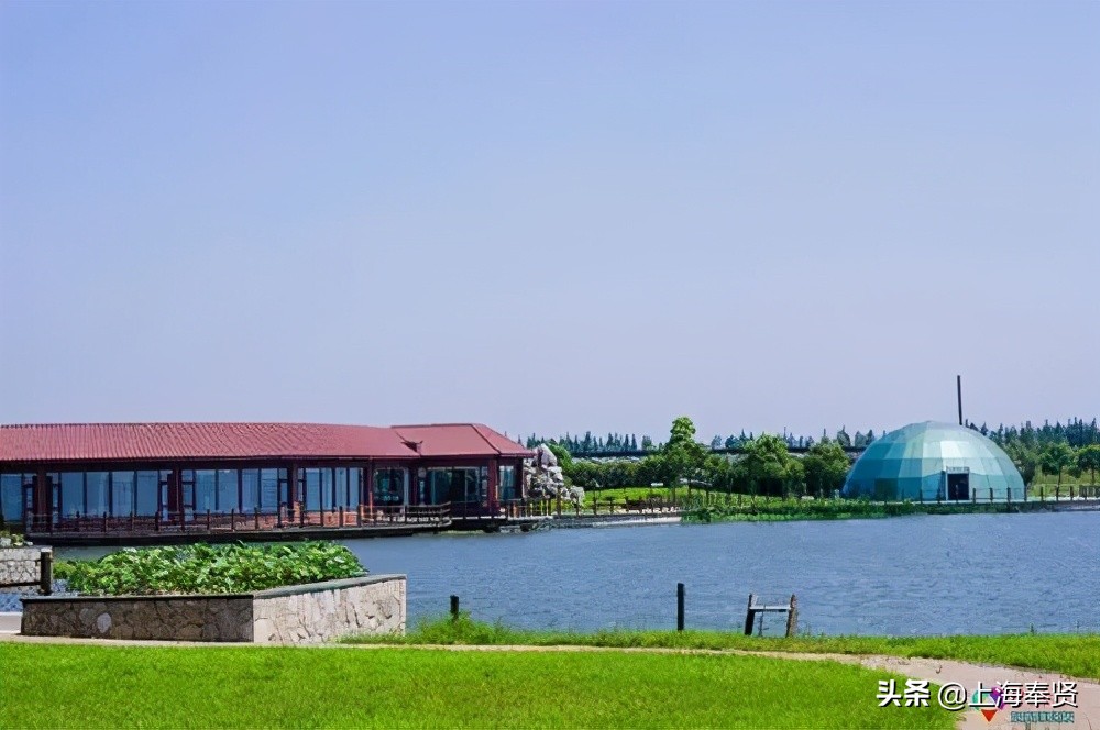 奉贤五一游玩打卡的地方,奉贤休闲度假游玩攻略