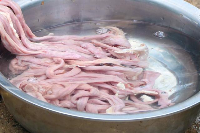 猪大肠炒出来怎么是苦的,猪大肠怎么炒更脆更好吃