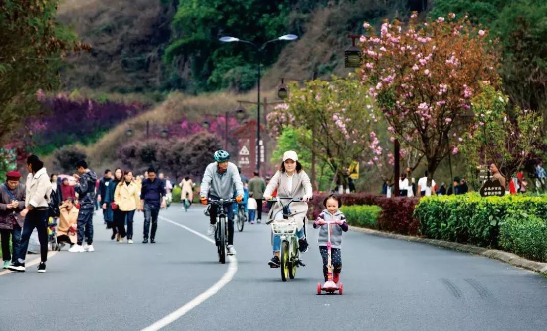 乐山市生态文明,庆祝新中国成立70周年特辑宣讲