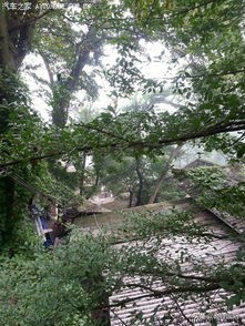 智神张闲逸,文言版第二十集：相爷蹲茅坑混混背驮人