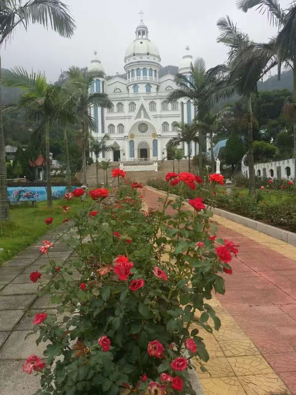 三十多年前的海难真相,六年三次海难幸存