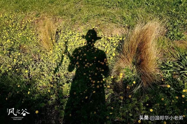 十几年的夫妻感悟,十年的老华人含泪感悟