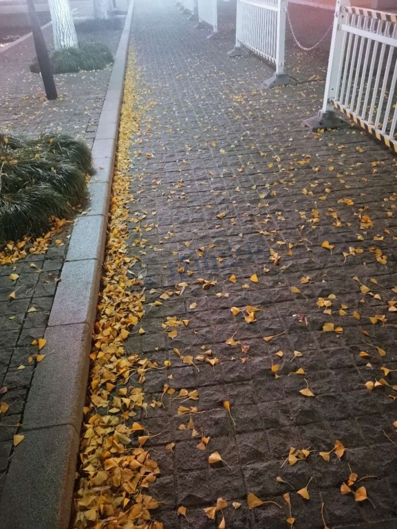 昆山江南水乡美景,昆山最好的古镇排名