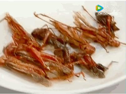 香江忆旧录曾昭怡,香江忆旧录全集