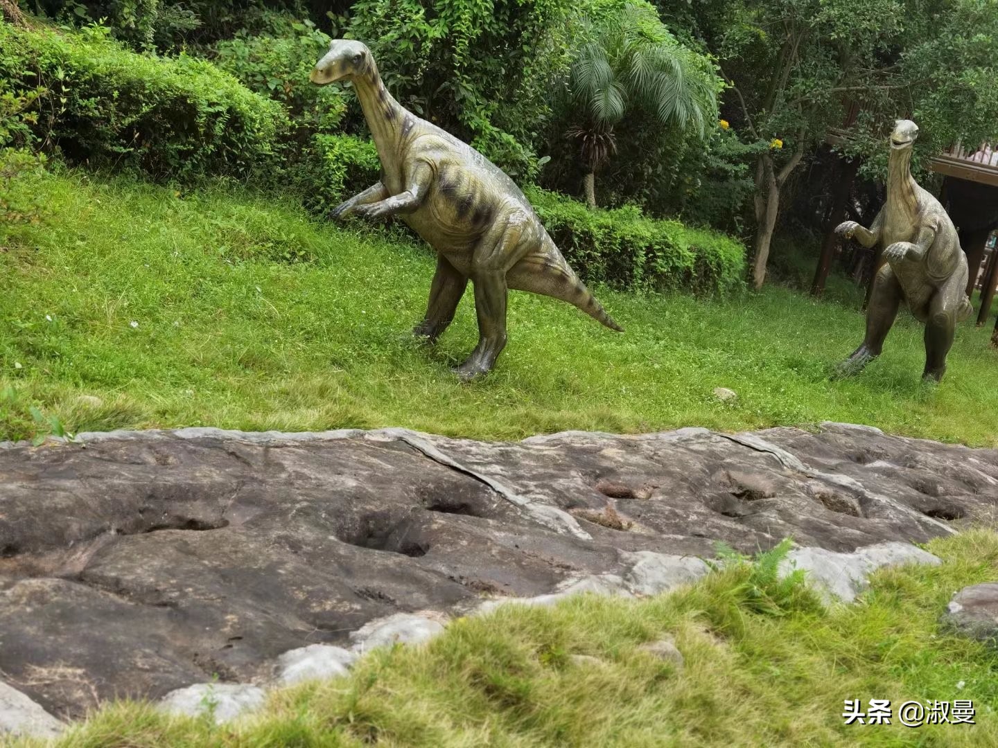 恐龙距今多少年前灭绝,恐龙灭绝前有人类吗