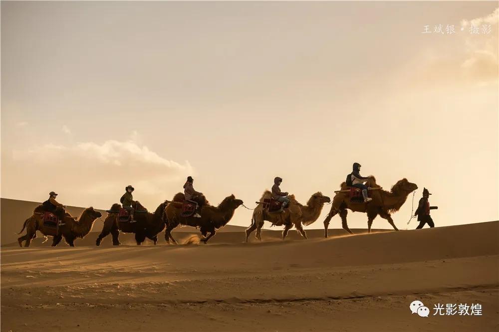 【敦煌新鲜事】月牙泉驼户穿胡服”牵骆驼服务游客