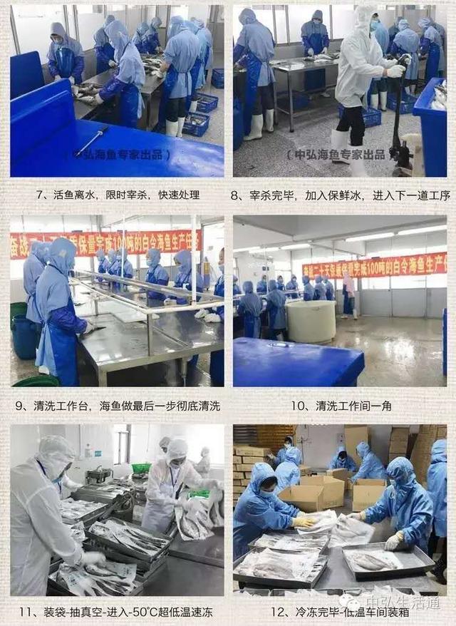 清蒸时令海鱼,三分钟清蒸海鱼