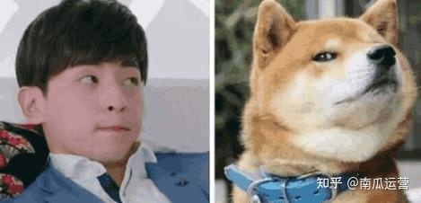 短视频运营执行流程,活动运营技巧和策划的区别