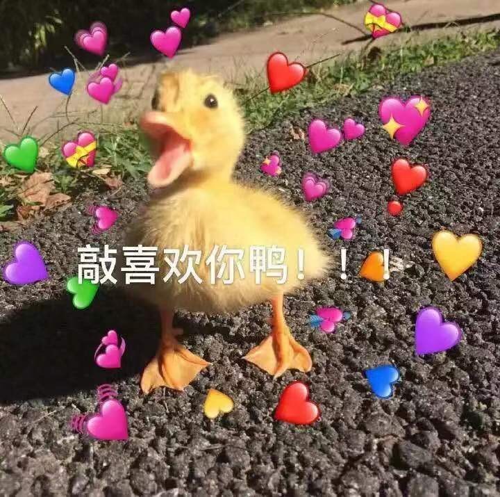 贝德玛卸妆品怎么样 (贝德玛卸妆水敏感肌能用吗)