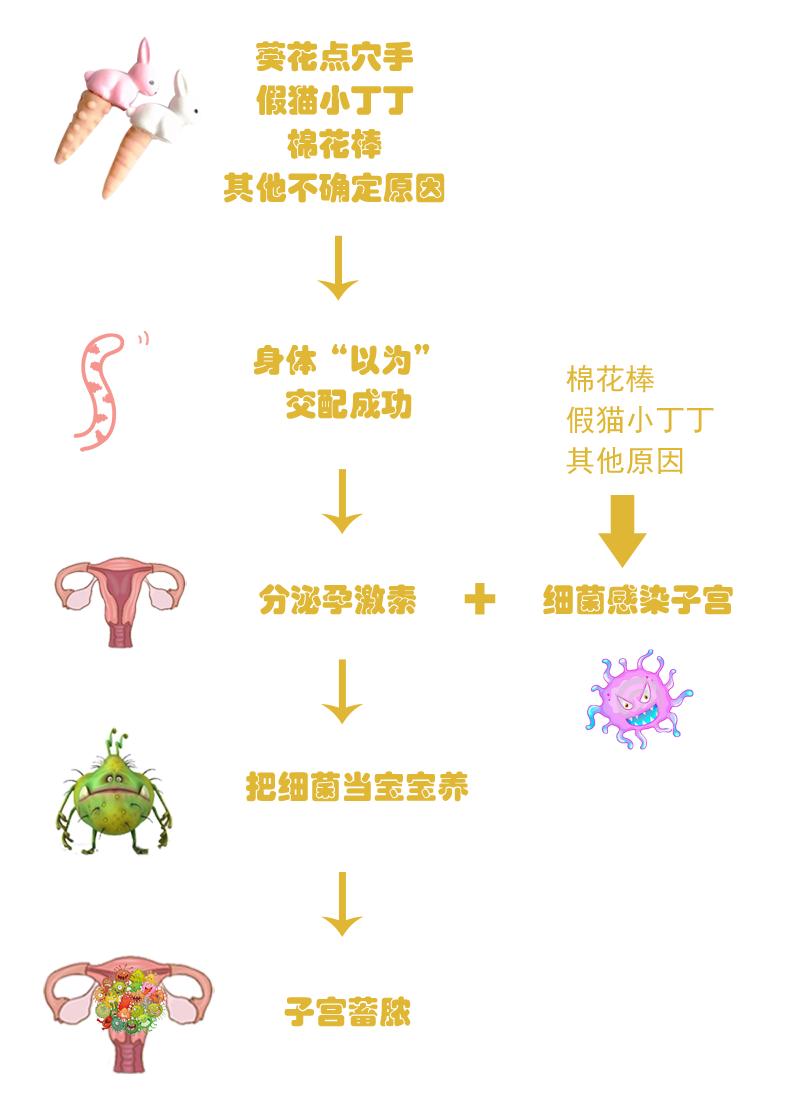 猫咪子宫蓄脓用地米能治好吗,胆小慎入猫咪