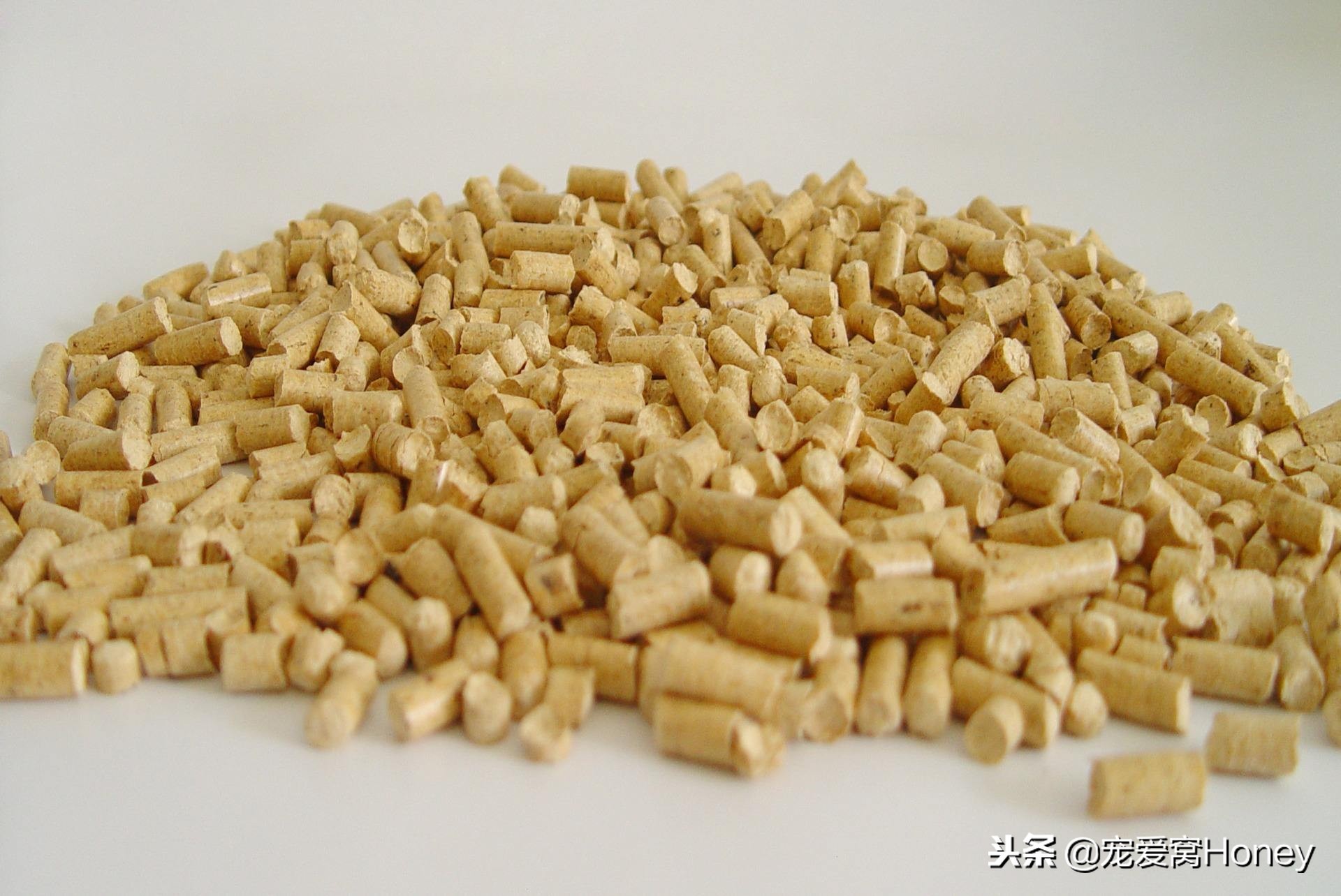 木质家具被猫咪抓了怎么修复,实木家具被猫抓坏了怎么修补