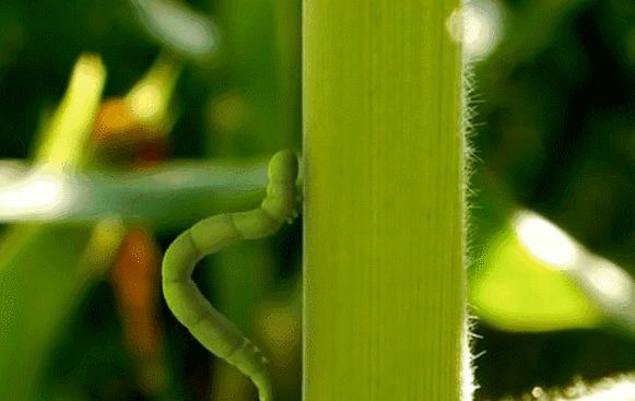 豆瓣9.6！娃刷到停不下来，还能看出人生大道理