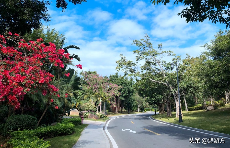 厦门海悦山庄酒店平面图,厦门海悦山庄旅游详解