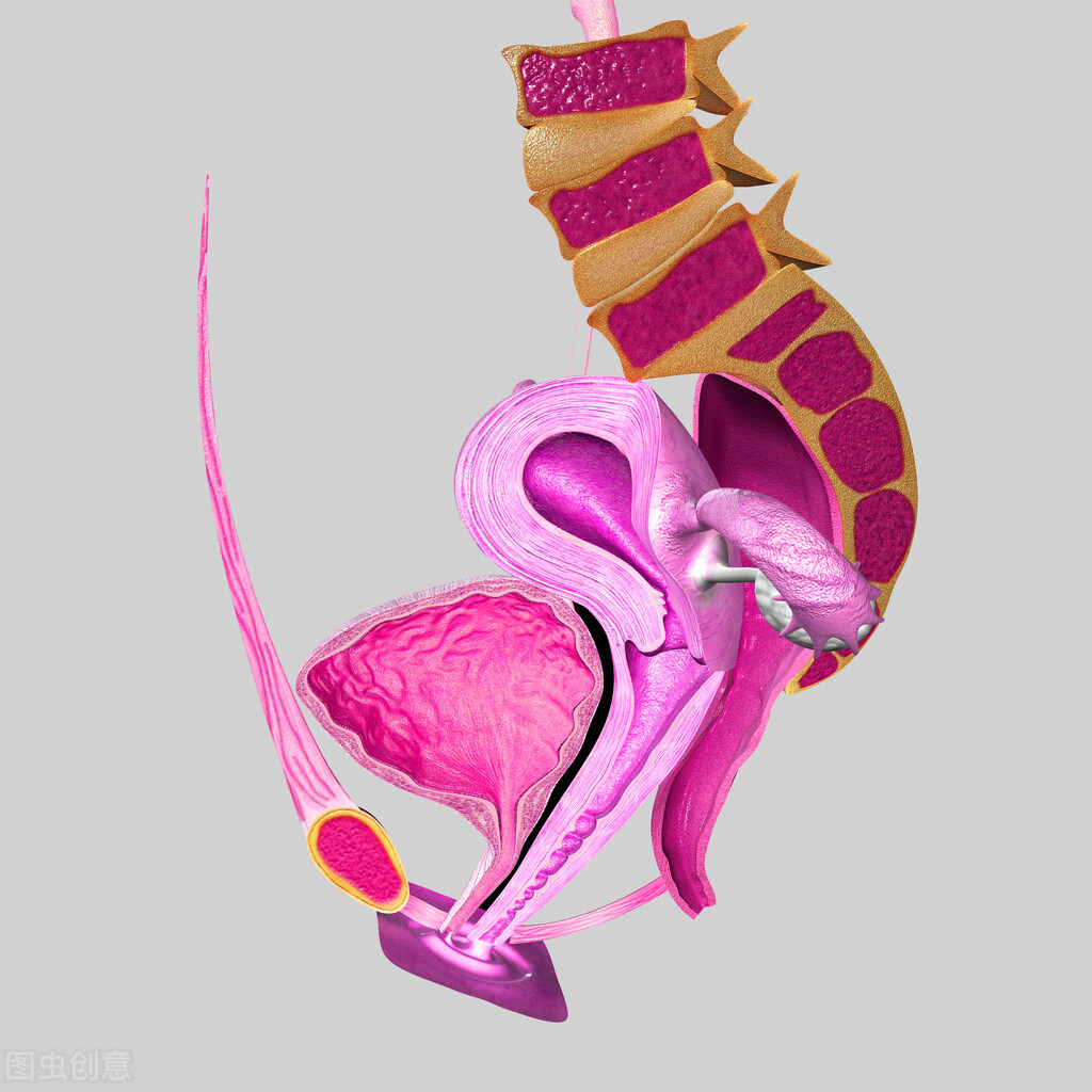 子宫腺肌症专家共识2020,子宫腺肌症诊疗指南