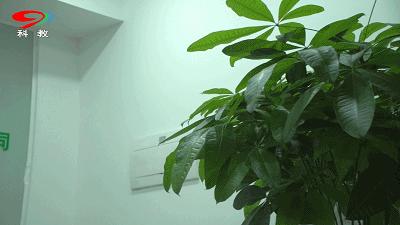 成都的干净程度,成都的街道名为什么好听