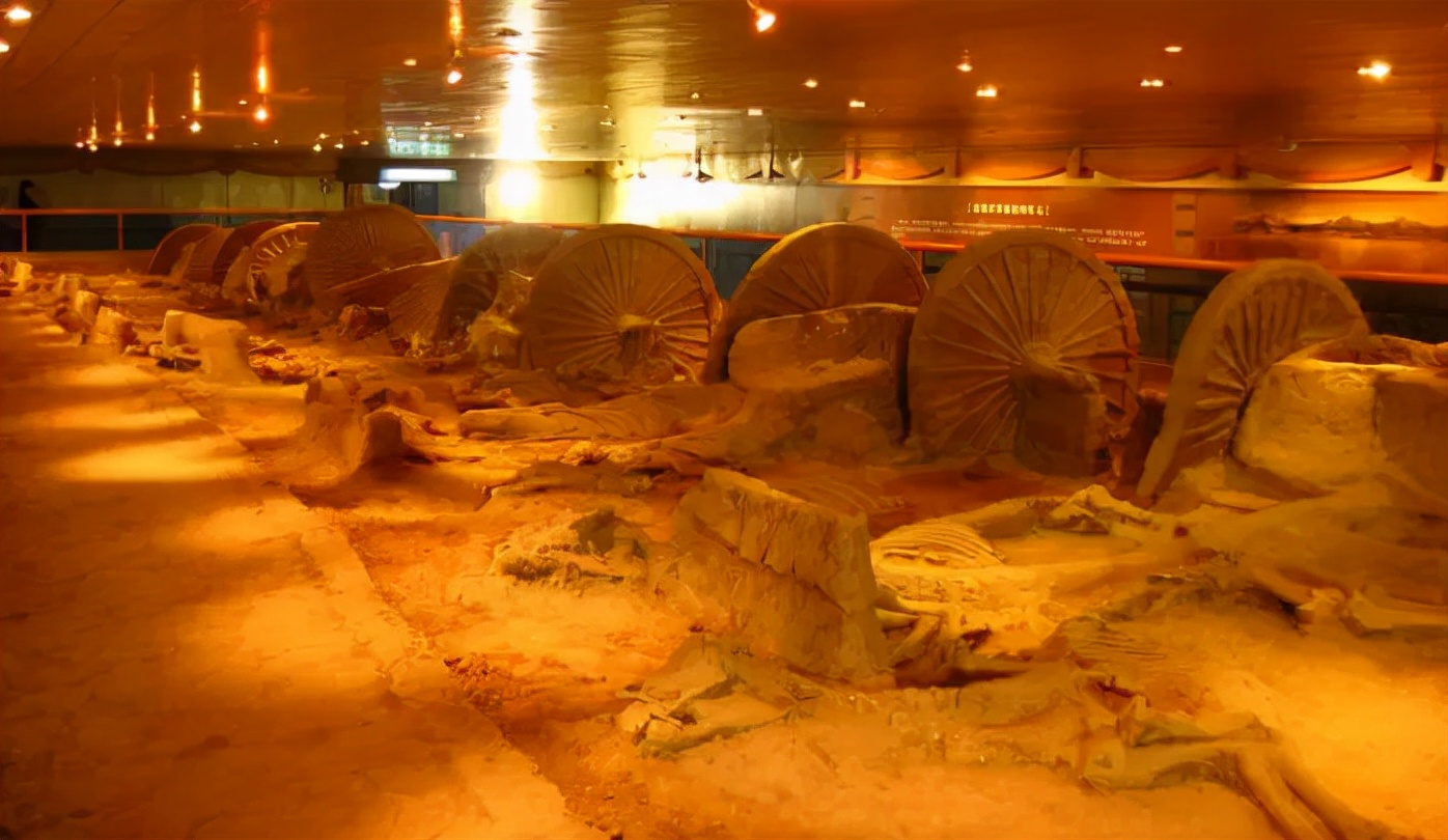 山东最美的自驾游线路图片大全,山东最好的自驾游景点