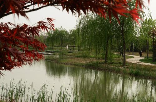 不出郑州旅游攻略,郑州五一游玩公园推荐