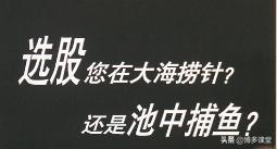 一起学投资集锦,一起学炒股完整版