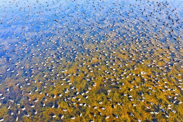 宿迁定居的优缺点,宿迁居住环境
