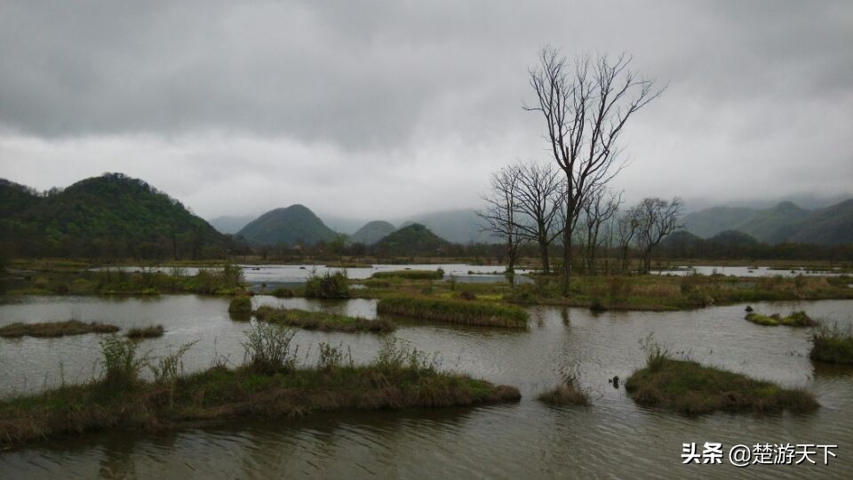 神农架大九湖旅游攻略,醉美大九湖探秘神农架