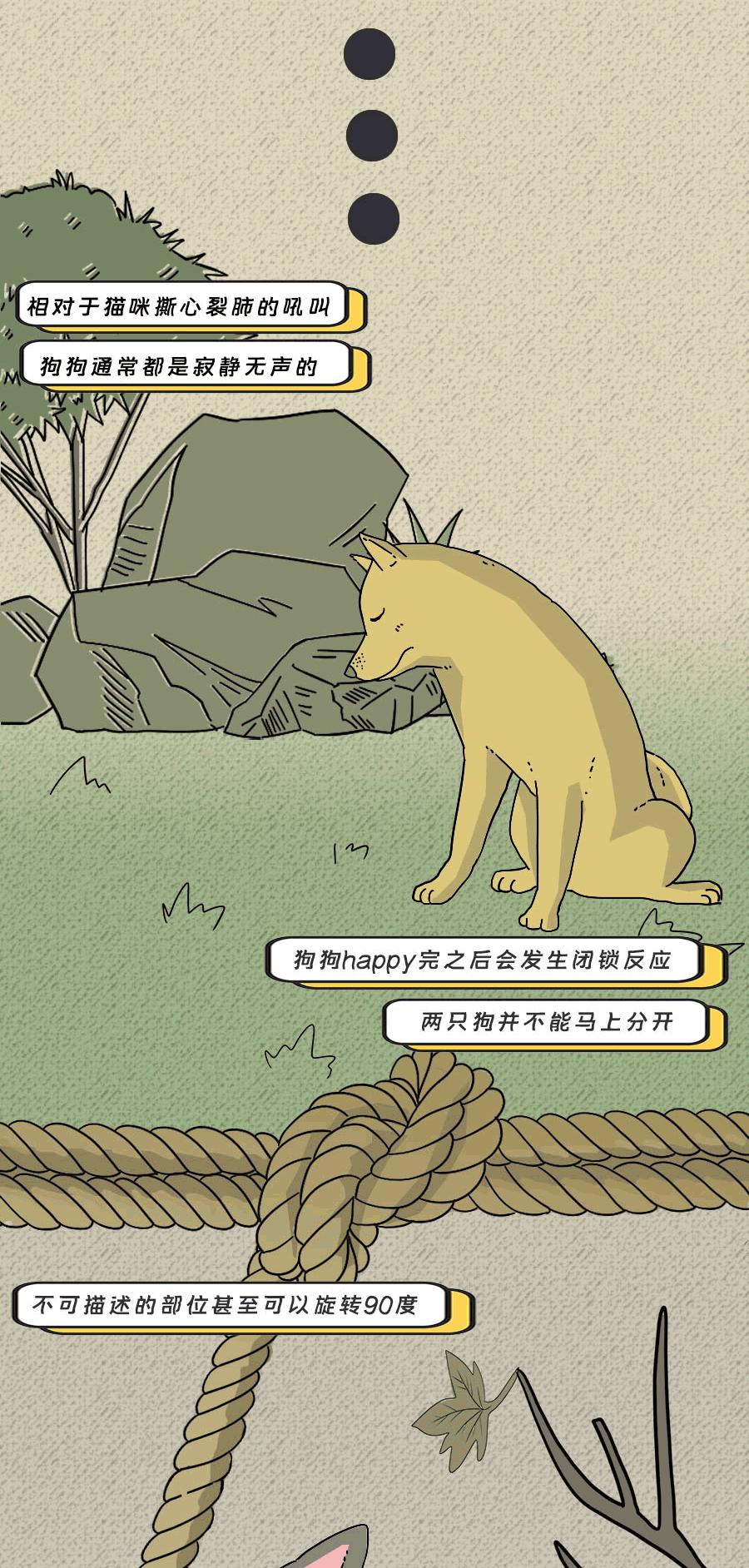 那些羞羞的事：动物是如何啪啪啪的？