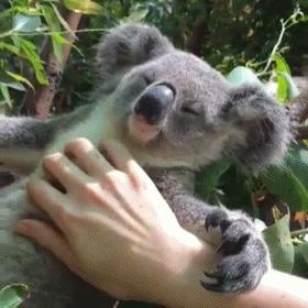 澳大利亚有哪些旅游胜地,澳大利亚有什么好玩的免费景点