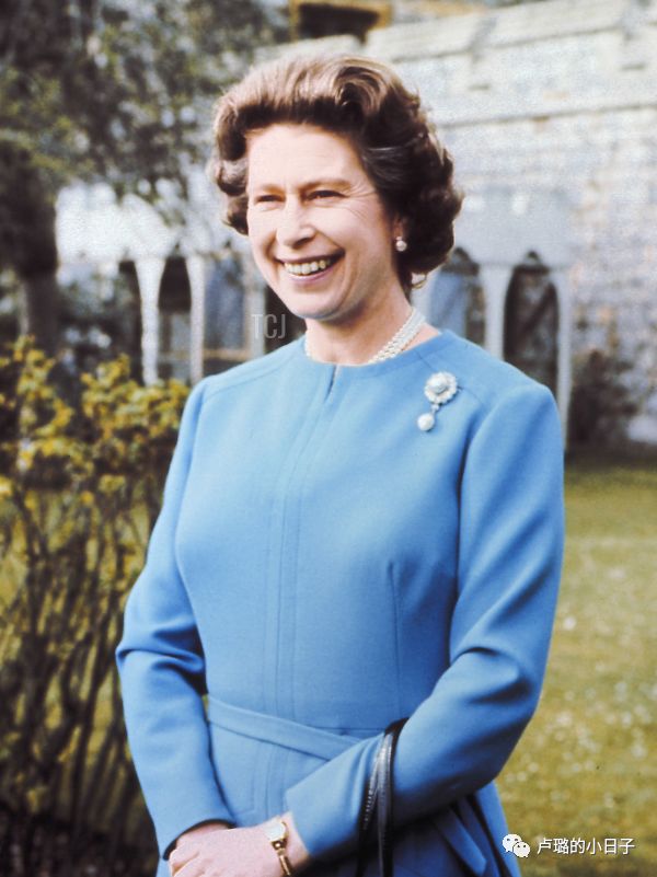 英国女王胸针高档轻奢,女王最贵胸针排行榜