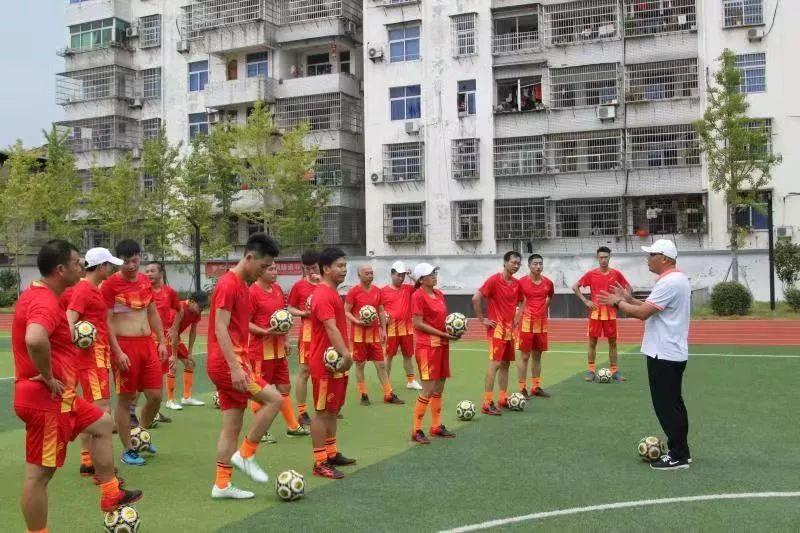 派迪茵体育产品,派迪茵体育