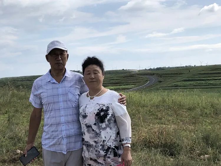 多肉植物生活,多肉生活充满诗意