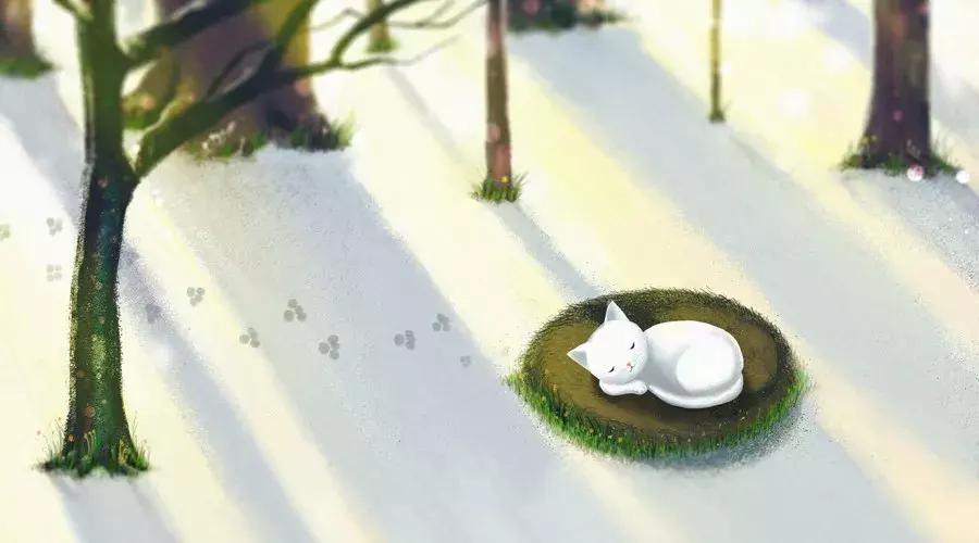 小学语文积累手册积累成语大全,小学1-6年级成语大全及解释图